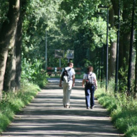 Netwerk Lokaal Sportbeleid